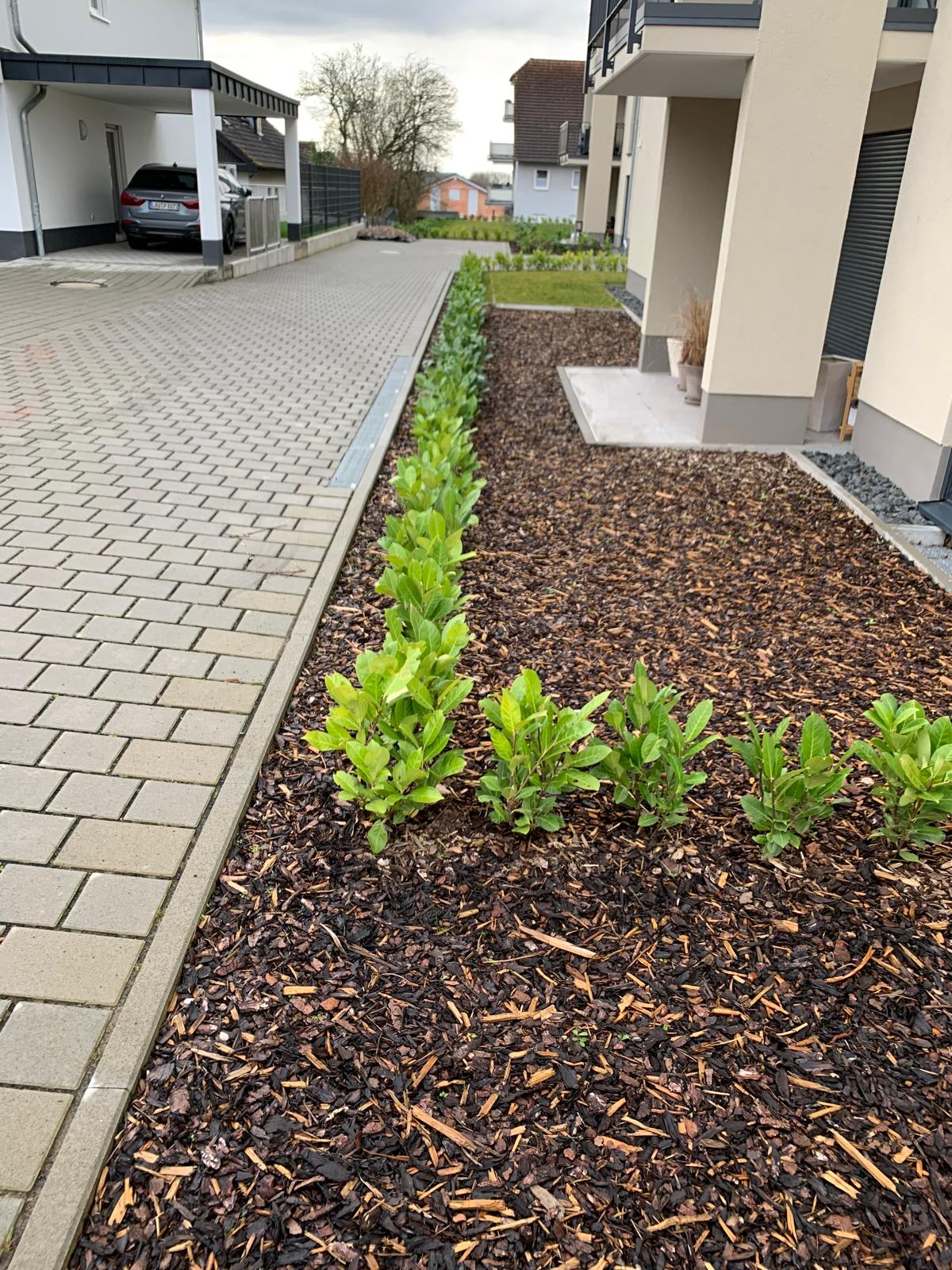 Außenanlage – Pflasterung